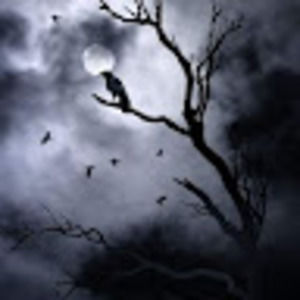 Meet your Posher, Logan